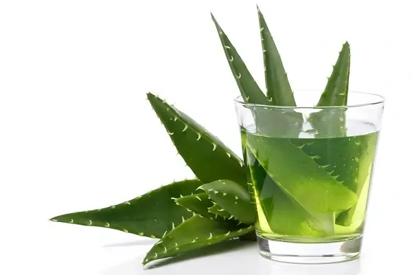 Benefits of Aloe Vera