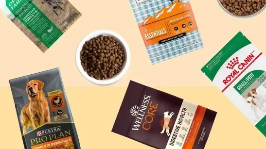 Types of Dog Food to Help You Choose the Right One