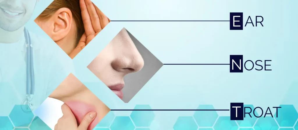 Why Does Thyroid Matters in Ear, Nose, and Throat Care