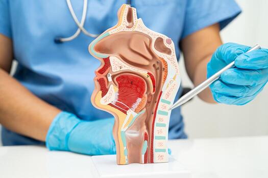 7 Reason to Visit the Ear, Nose & Throat Doctor to Improve Your Well-Being