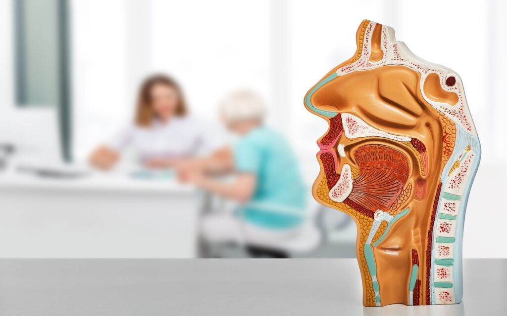 Best ENT Doctor in Ahmedabad