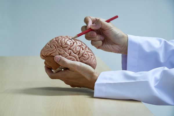 Choosing the Right Neurosurgeon in India for Long-Term Brain Health